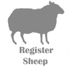 Register Sheep...